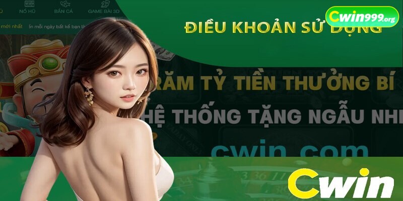 điều khoản và điều kiện